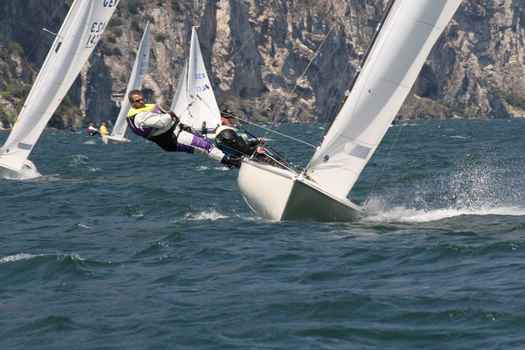 ger1320_3116.JPG
