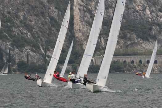 ger1320_9657.JPG