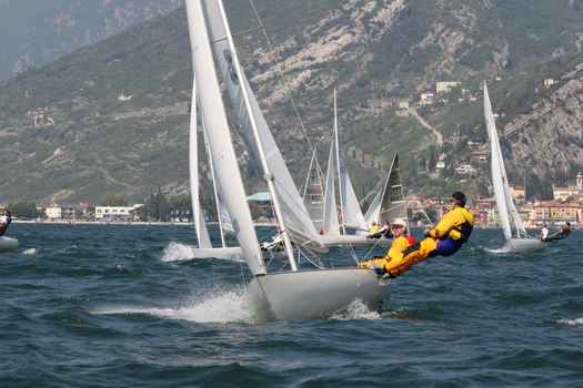 ger1333_3606.JPG