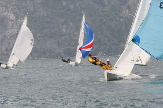 ger1333_9696.JPG