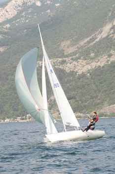 ger1390_1210.JPG