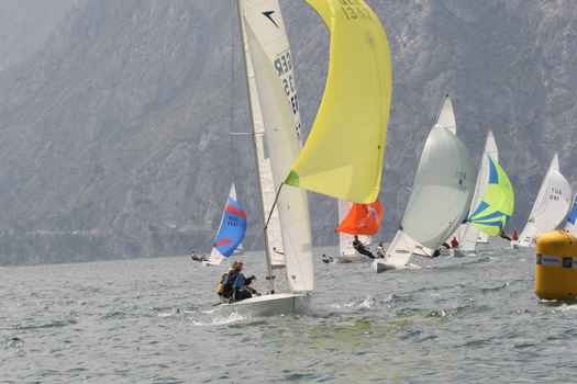 ger1390_9706.JPG