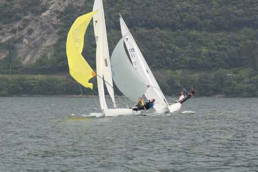 ger1390_9923.JPG
