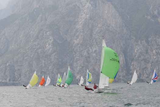 ger1432_9687.JPG