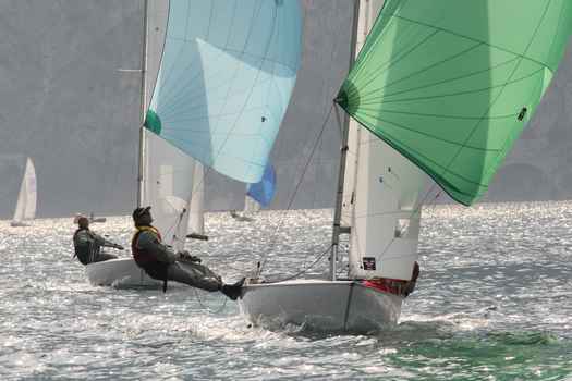 ger1452_0937.JPG