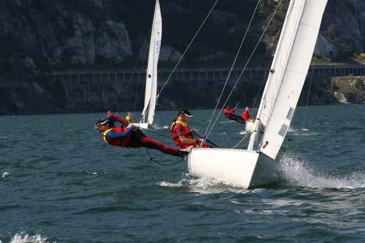 ger1452_2343.JPG