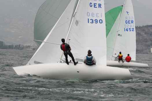 ger1452_9934.JPG