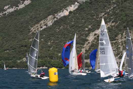many_2401.JPG