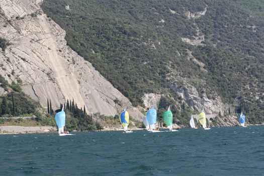 many_2680.JPG