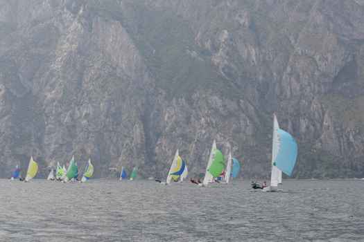 many_9679.JPG