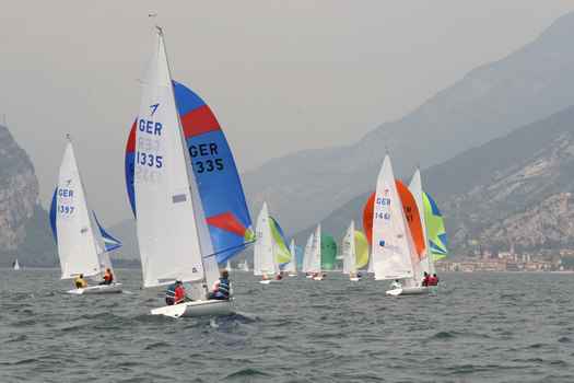 many_9729.JPG