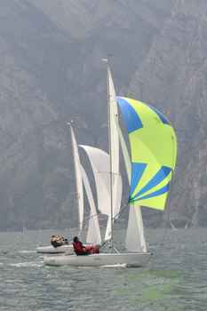 sui271_0208.JPG
