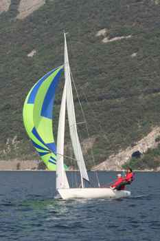 sui271_1219.JPG