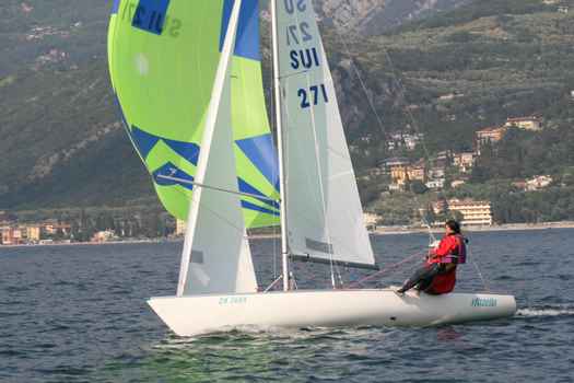 sui271_1221.JPG