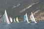 many_0967.JPG