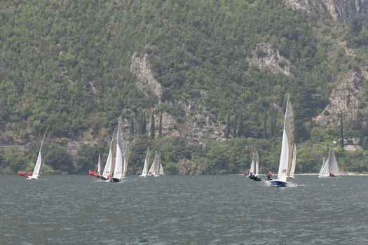 IMG_3977.JPG