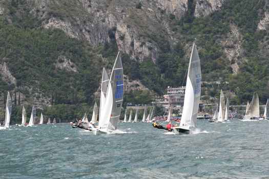 IMG_4986.JPG