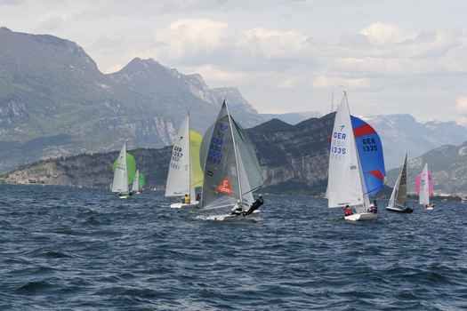 IMG_5824.JPG