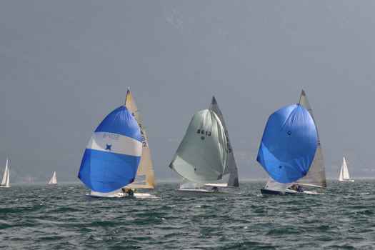 IMG_6526.JPG