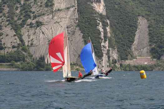 IMG_7463.JPG