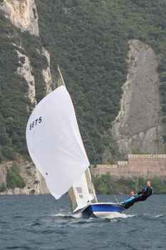 IMG_7919.JPG