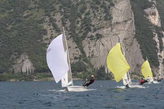 IMG_7970.JPG