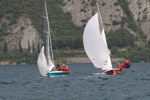IMG_8863.JPG