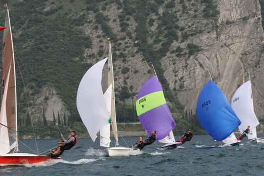 IMG_8929.JPG