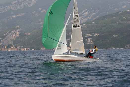 IMG_8950.JPG